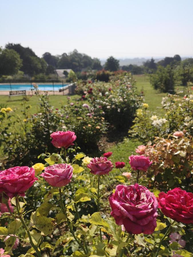 Gite De La Roseraie Louchy-Montfand ภายนอก รูปภาพ